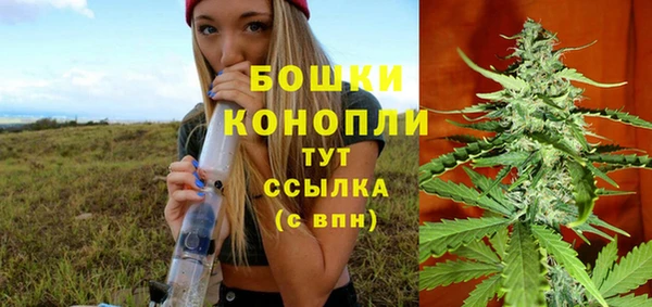 мдпв Шадринск